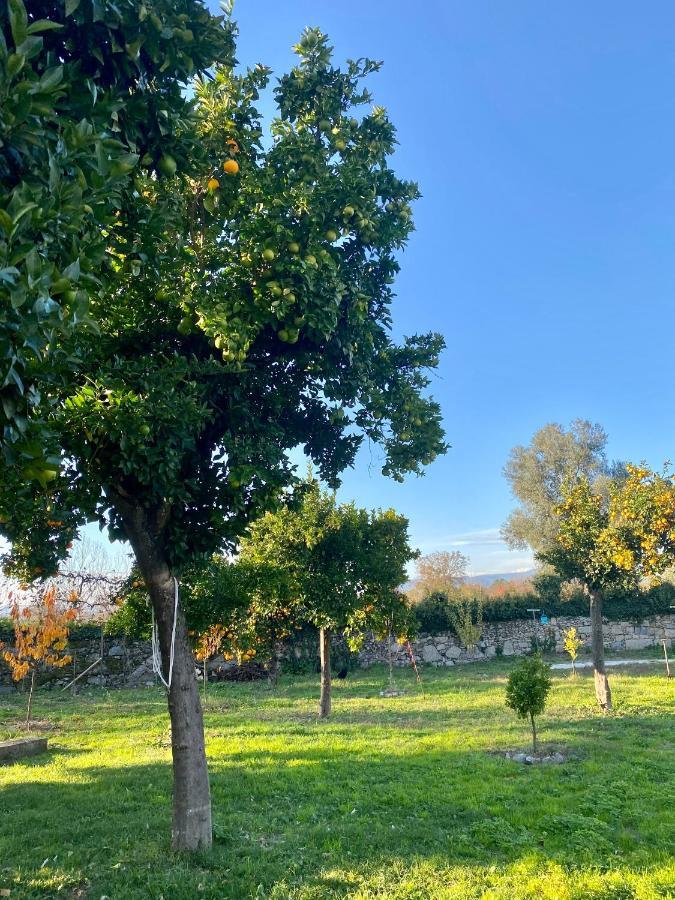 Quinta De Areias Bed & Breakfast Crespos ภายนอก รูปภาพ
