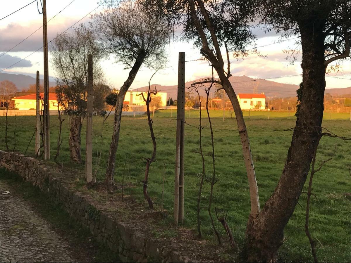 Quinta De Areias Bed & Breakfast Crespos ภายนอก รูปภาพ